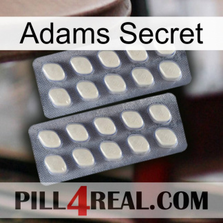 Adams Secret 07